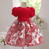 Baby Girl Flower Embroidered Graphic Crewneck Short Sleeve Princess Dress - 100 (2-3Y) - Red